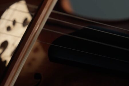 Born in Vienna: Concert 2